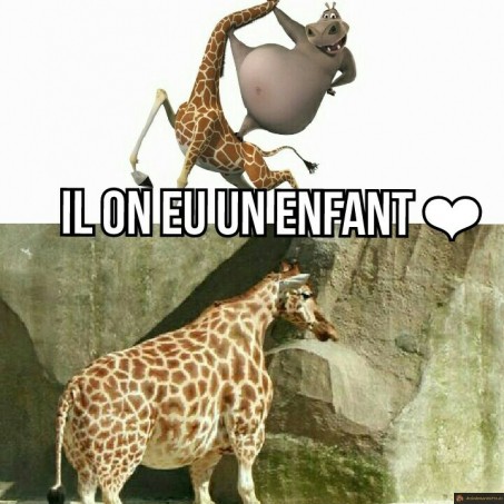 Hippo et girafe ont un enfant