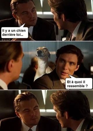 Il ressemble à quoi le chien?