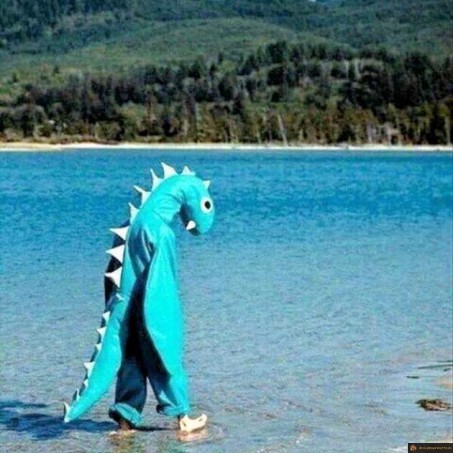 Ils ont trouvé le monstre du loch ness