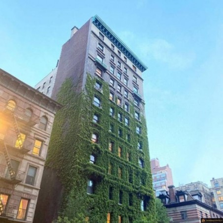Immeuble vert