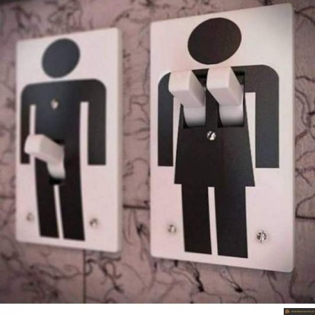 Interrupteurs coquin