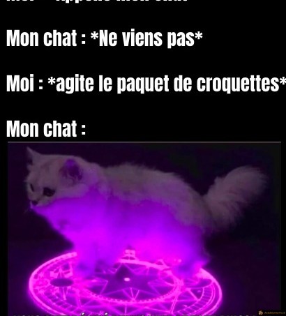 Invocation du chat