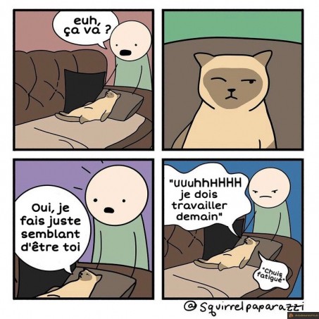 Je fais semblant d'être toi