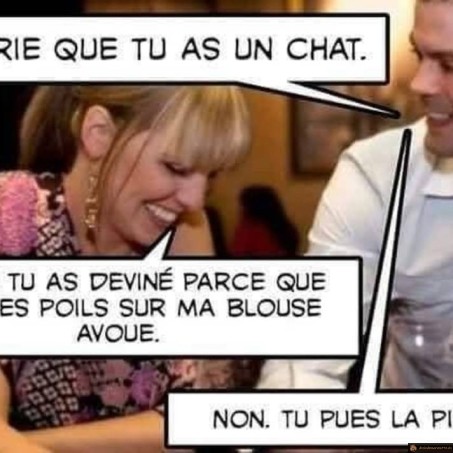 Je parie que tu as un chat