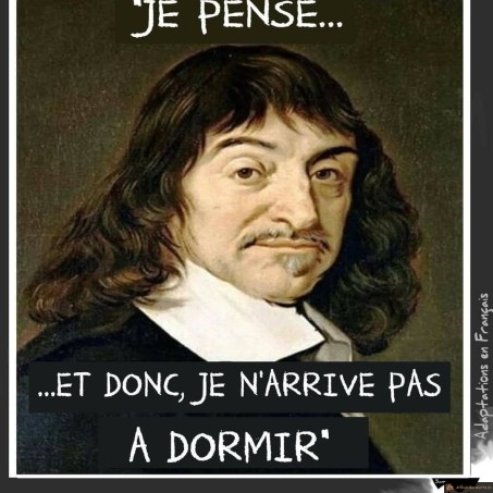 Je pense, donc...