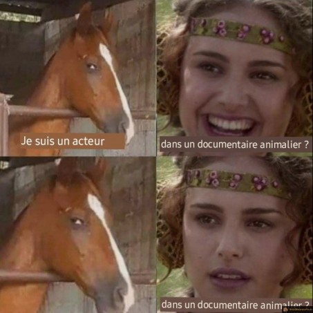 Je suis acteur