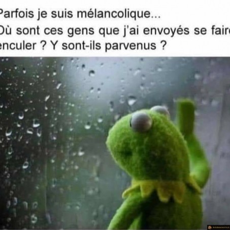 Je suis mélancolique