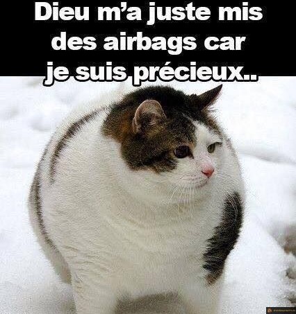 Je suis pas gros