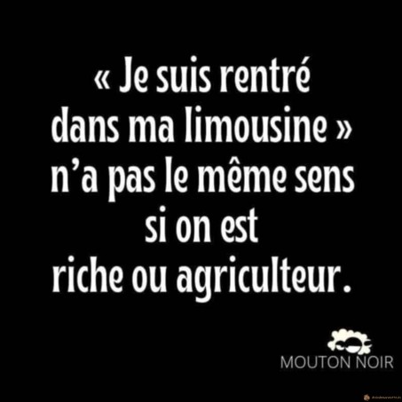 Je suis rentré dans ma limousine