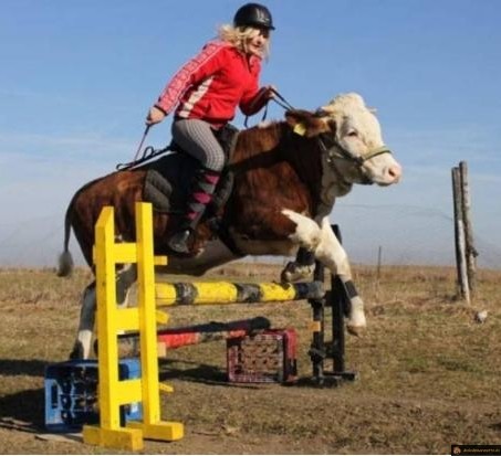 je t'assure que c'est pas ton cheval ça