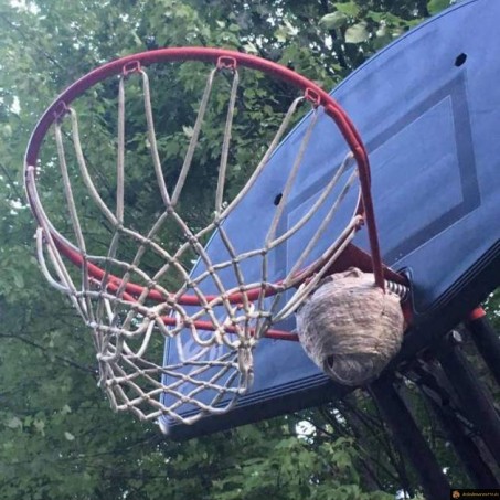 Jouer au basket niveau expert