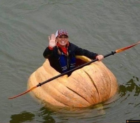 Kayak citrouille