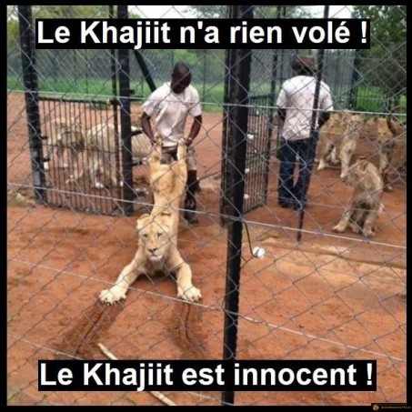 Khajiit innocent - Skyrim
