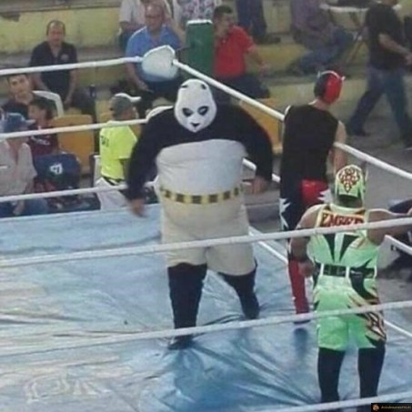 Kung fu panda fait du catch