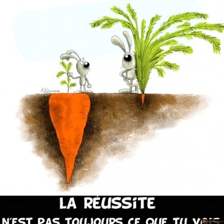L'apparence de la réussite