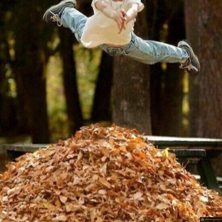 L'automne arrive