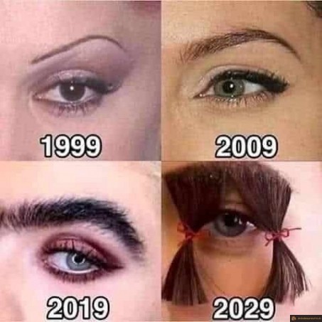 L'évolution des sourcils