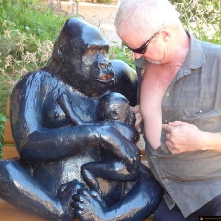 L'homme descend du singe