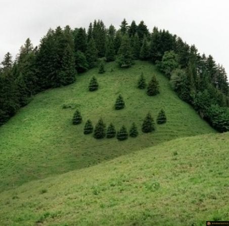 La colline a un visage