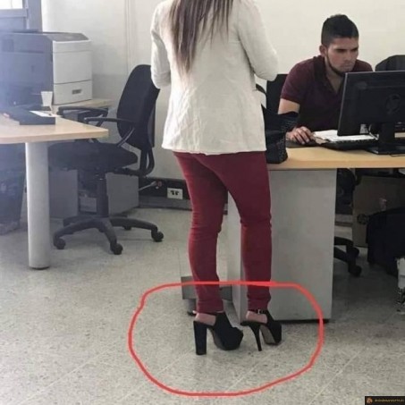 La différence entre bold et italic
