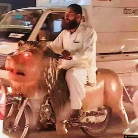 La moto lion