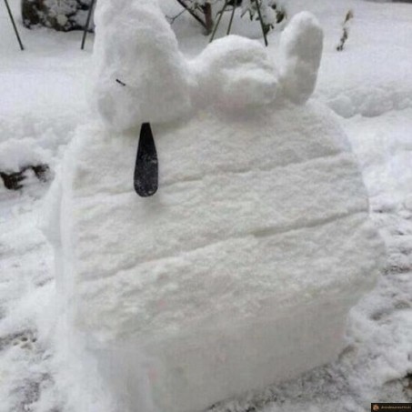 La niche de Snoopy!