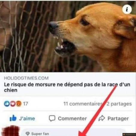 La race la plus dangereuse