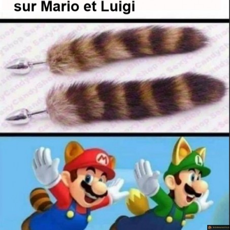 La vérité sur Mario et Luigi