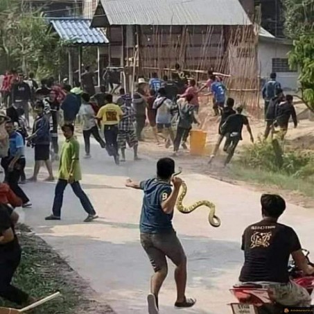 Lancer de serpent