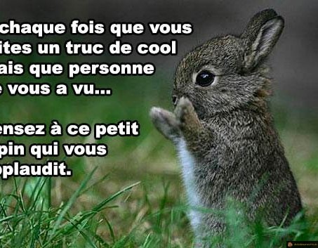 Lapin qui applaudit