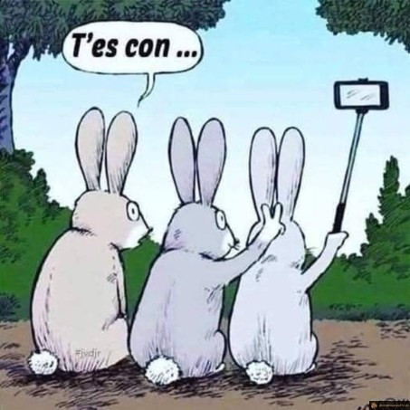 Lapins selfie
