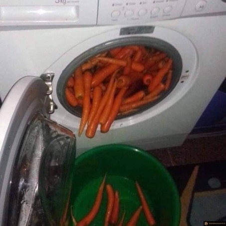 Laver les carottes