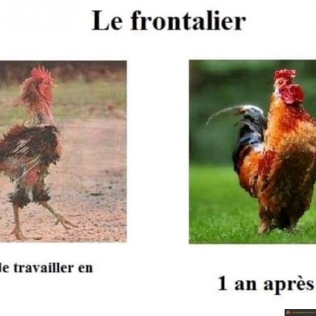 Le frontalier