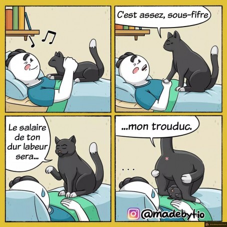 Le maître chat