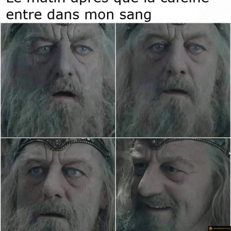 Le matin et la caféine