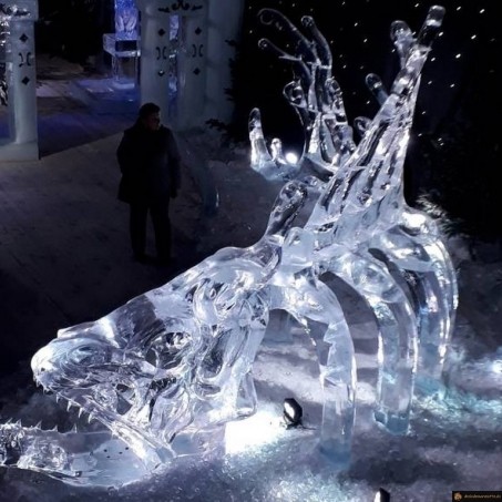 Le monstre de glace
