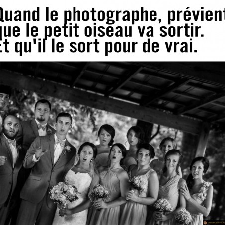 Le petit oiseau va sortir