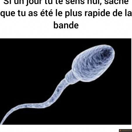 Le plus rapide