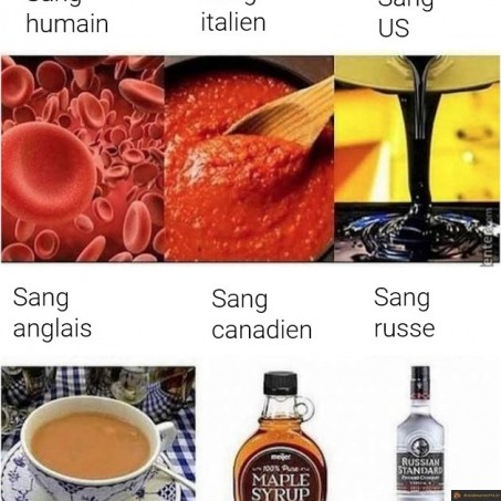 Le sang dans le monde