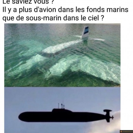 Le saviez vous? Il y a plus d'avions dans les fonds marins que...