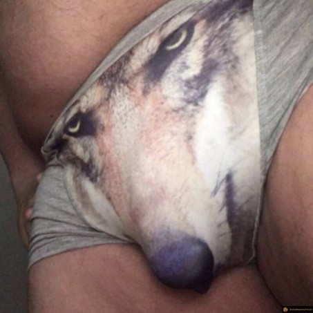 Le slip loup