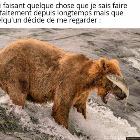 Le stress du public