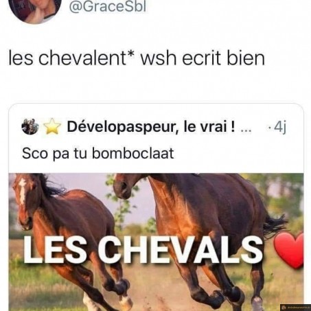 Les chevales ou chevalent?