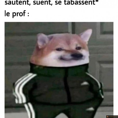 Les cours de sport
