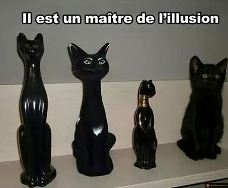 Maître de l'illusion