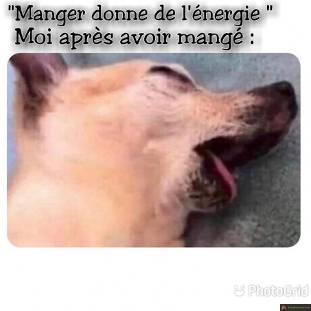Manger donne de l'énergie