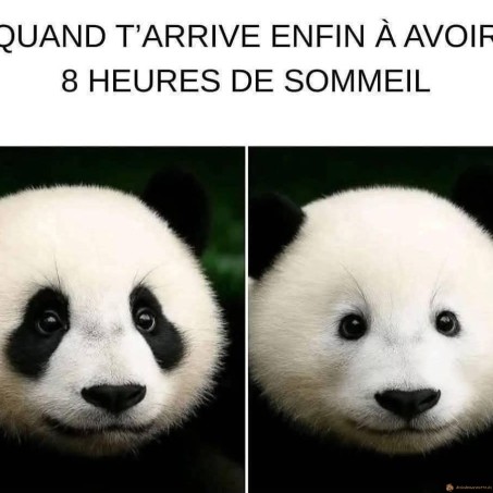 Manque de sommeil