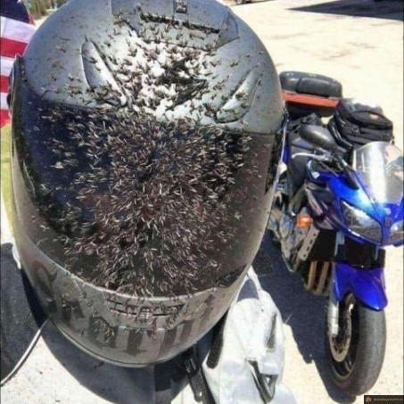 Massacre à moto