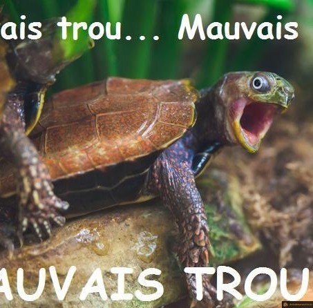 mauvais trou!