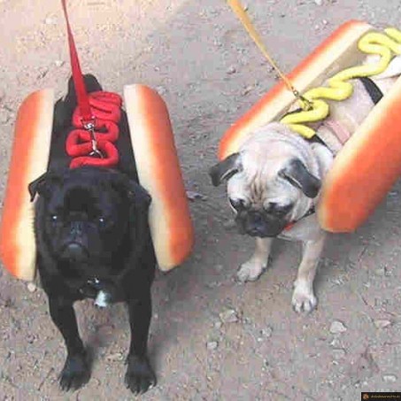 Mayo ou ketchup?